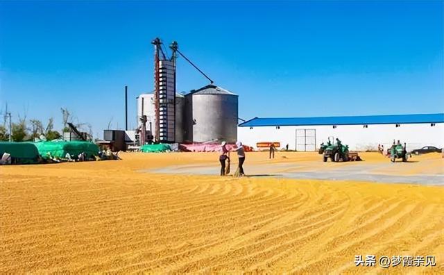 中国500公斤人均粮的安全感从哪来 稳产增效的密码