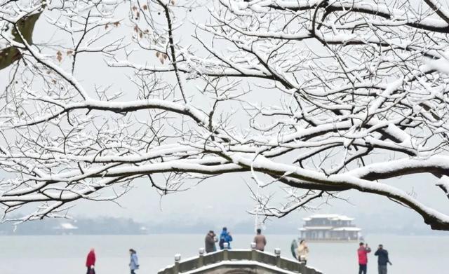 游客听天气预报到西湖蹲到了雪 寒潮带来冬日惊喜