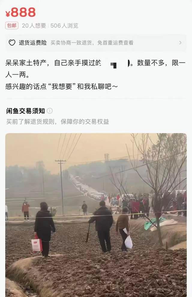 律师解读呆呆家的土被卖至888元 网络热潮后的荒诞现象