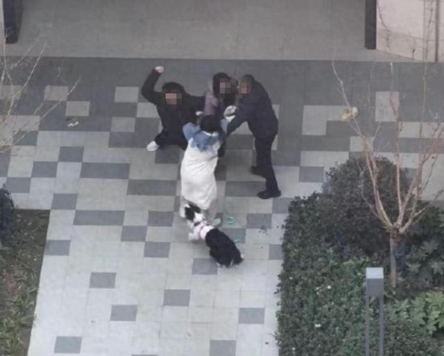 女子牵绳遛狗遭殴打 警方已介入 目击者作证也被打伤