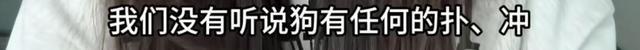 女子牵绳遛狗被一家人围殴 遛狗纠纷引发暴力事件
