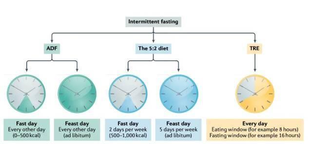 “饿死肿瘤”的方法真找到了吗 短期禁食增强疗效