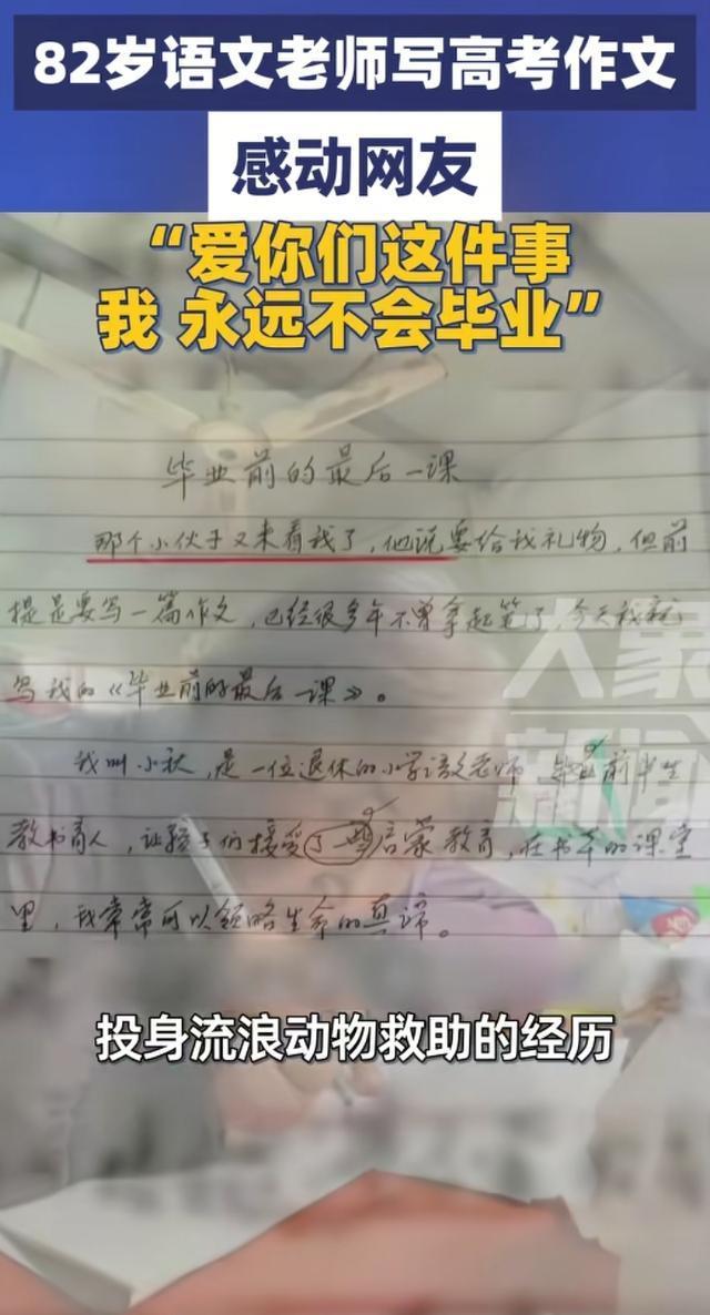 82岁退休语文老师救助流浪猫狗27年 生命的课堂