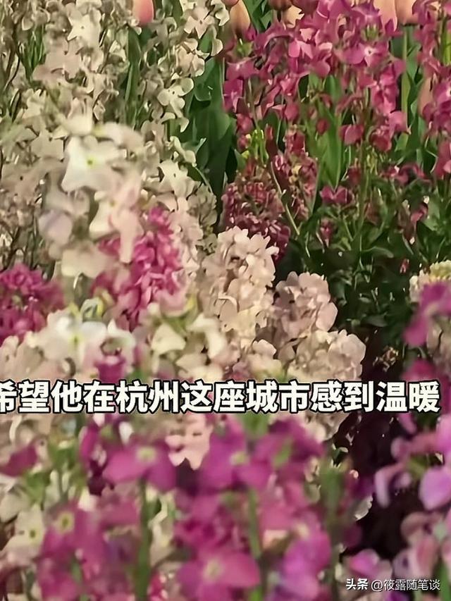 车被撞不要赔偿反塞给外卖员1000元 车主大爱暖人心