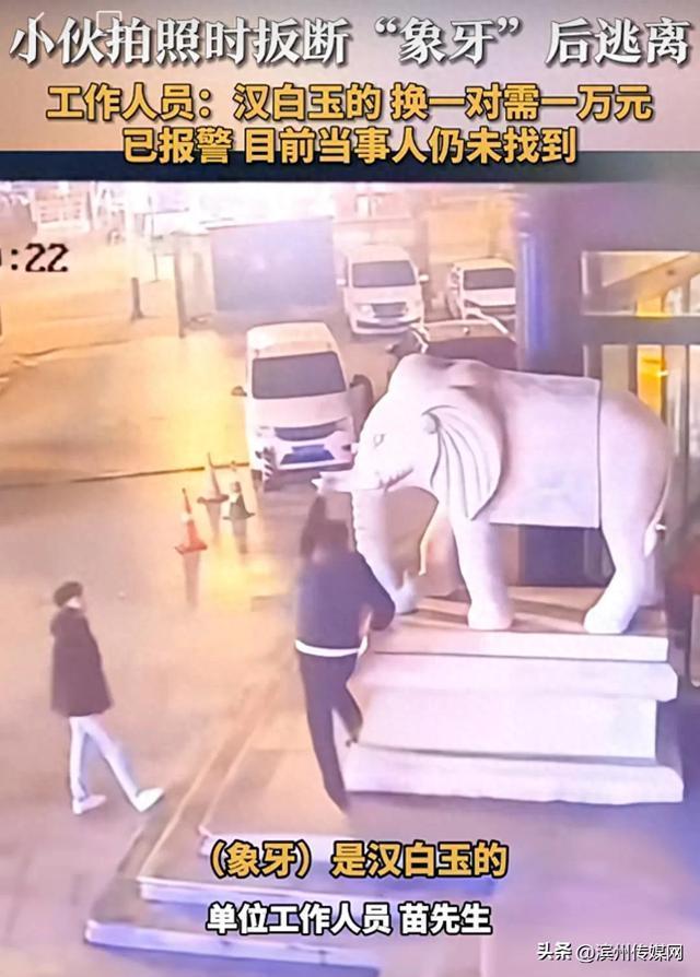 男子拍照扳断“象牙” 总造价1万元