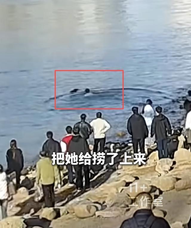 兰大博士黄河救人后向妈妈认错 德才兼备获全网点赞