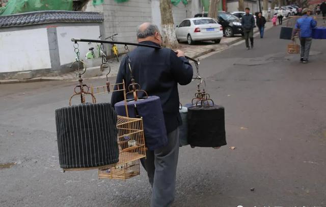 女孩们捧红“鸟鸟教” 催熟百亿市场 她经济引领变革