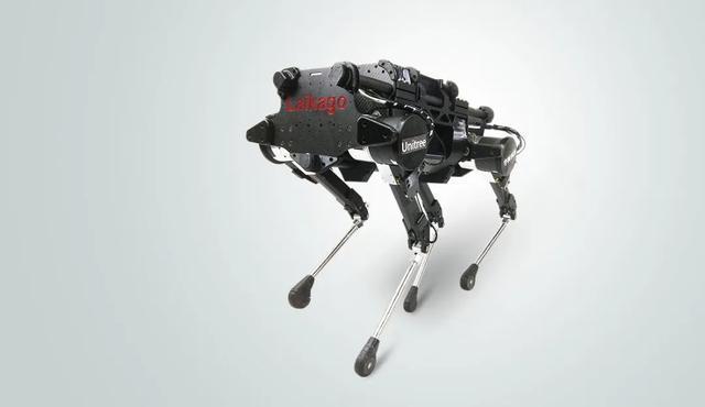 127亿真不贵，王兴兴藏在宇树招股书里的资本故事 技术偏执者的成功之路