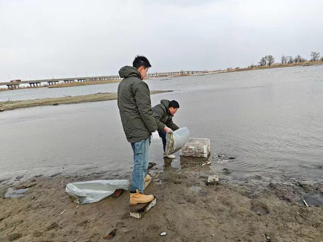 30只“鸟中大熊猫”空降松花江 春日请柬送抵北国
