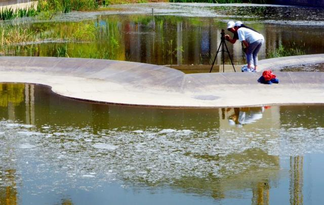 别人的春和景明 我的氯雷他定：过敏季来袭