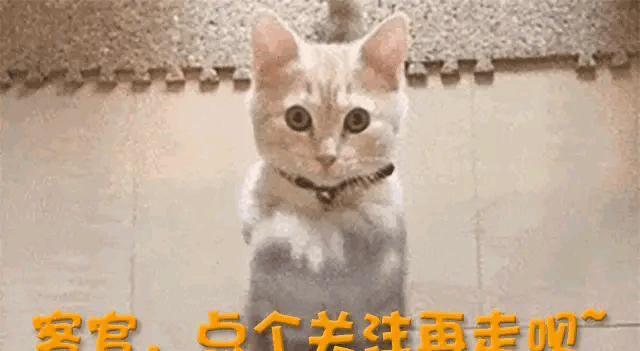 阚清子小考哭了 真情崩溃引共鸣