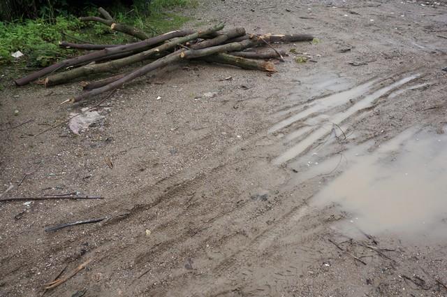 小伙清淤引300万网友围不雅