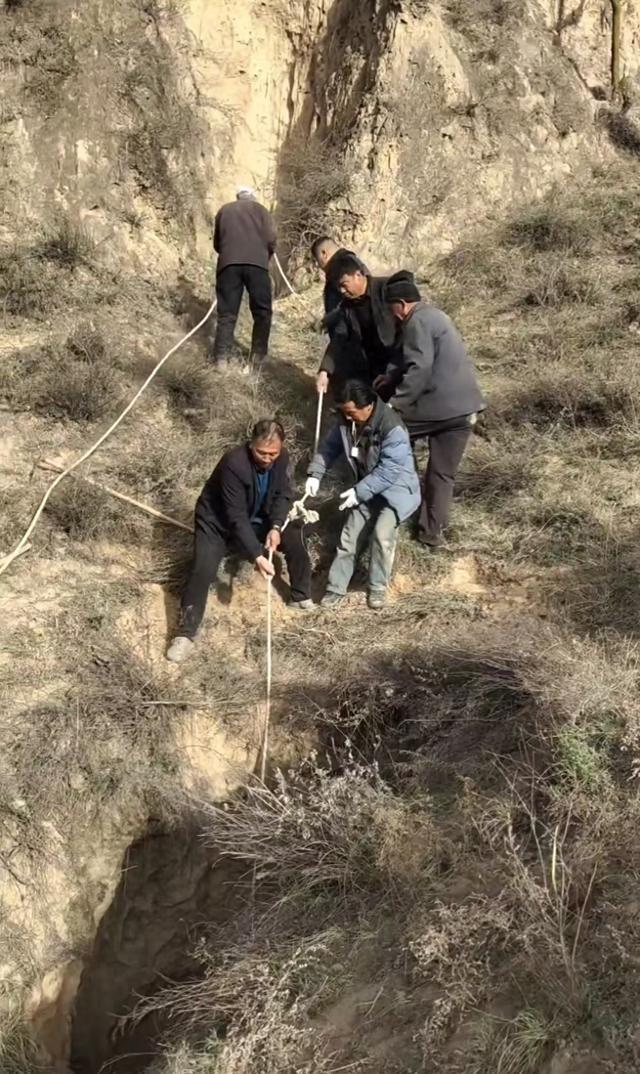 阛阓价1.4万黄牛掉入深坑 转圜未果被动袪除