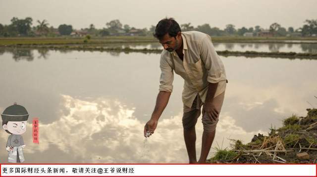 印度3000万人恐将没饭吃 化肥危机暴露经济短板