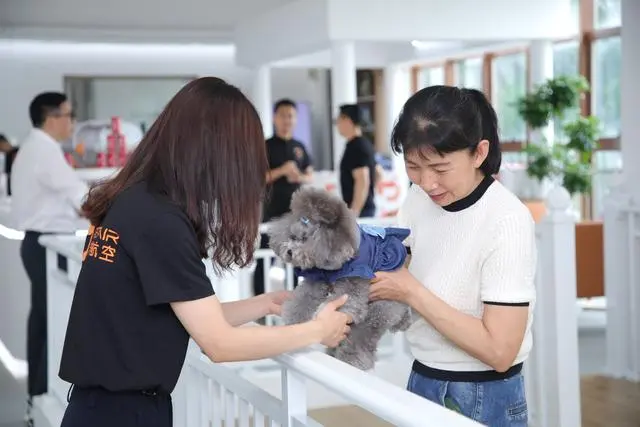 东航回应巨型犬卡在机舱通道 服务犬登机引发关注
