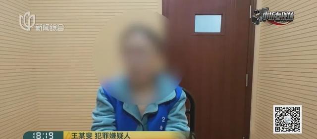 情侣半个月偷上千个“卡皮巴拉” 为刺激不择手段
