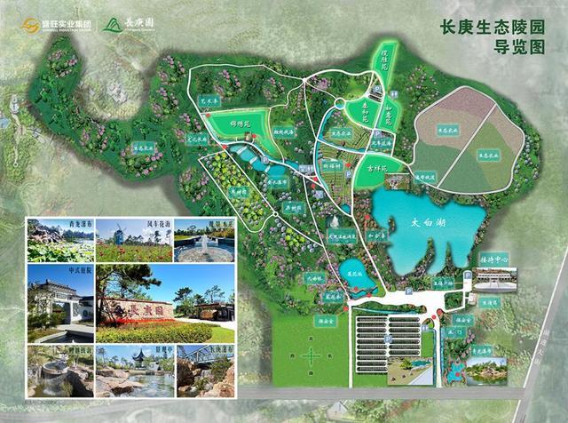 一地惊现200万豪华住宅式墓地 生态园变墓地引发争议