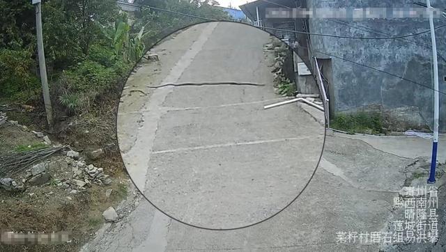 眼镜王蛇爬向民房两幼童浑然不觉