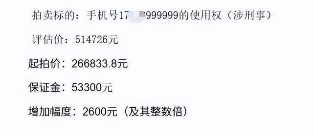 尾号9999999手机号仅2人竞拍 44万成交