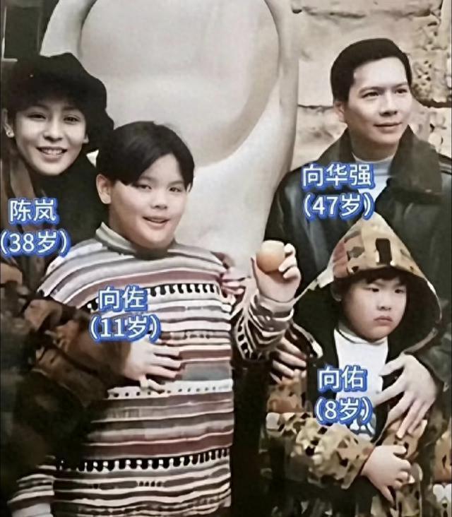 向太不满向佑恋情称绝不认这种儿媳 坚决反对儿子的选择