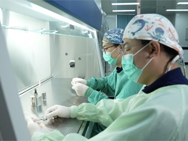 “人工胚胎”首次进入太空 探索微重力影响