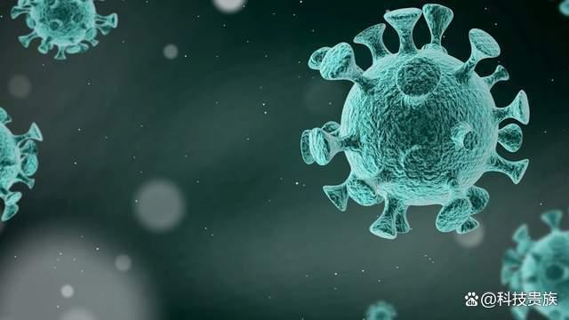 世卫评估邮轮疫情风险可控 安第斯病毒引关注