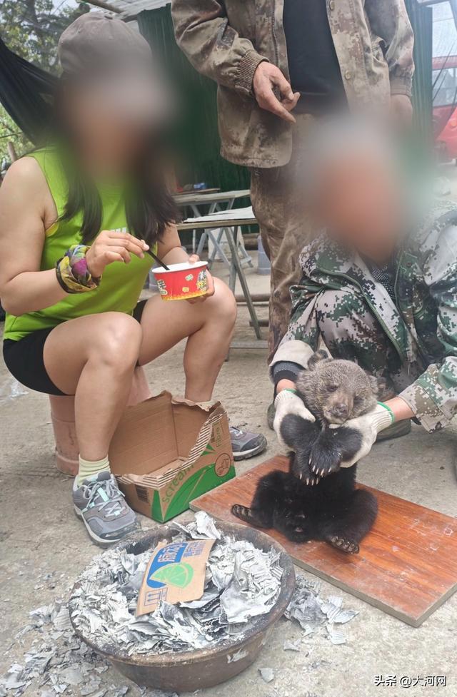 当地回应村民捡到小熊生火为其取暖 暖心举动未能挽救生命
