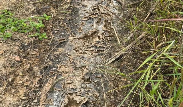 不足600人村庄62人患癌或白血病，村民：我老婆和儿媳都得了白血病 环境污染疑云笼罩