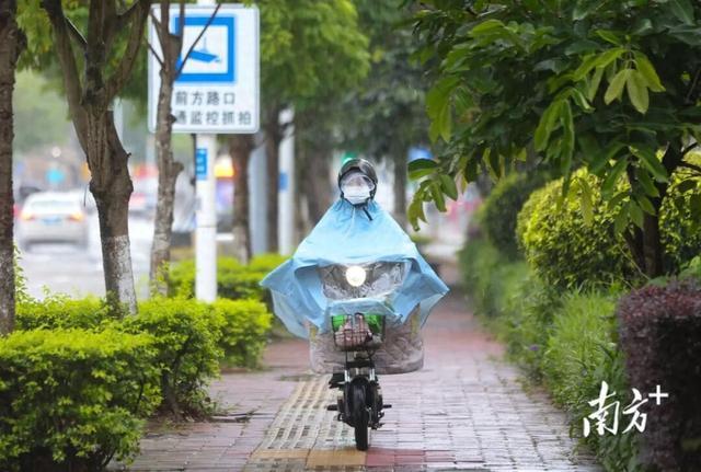 广东多地官宣停课