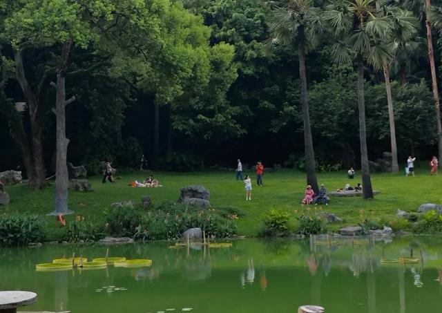 蚊子鸿门宴？一天能消灭3万只蚊子