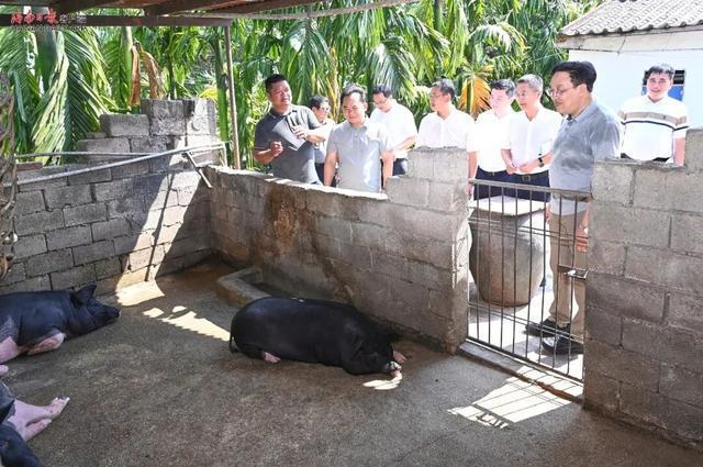 海南省委书记吃住在村调研 深入基层解剖麻雀