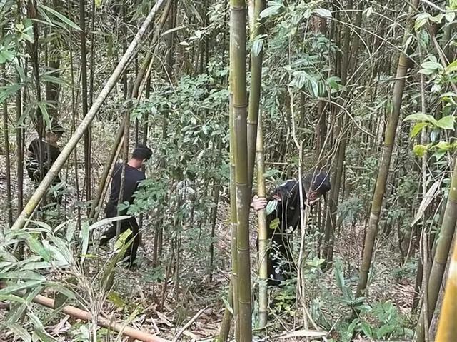 11岁男童失联13天后获救细节披露 千人接力搜救成功