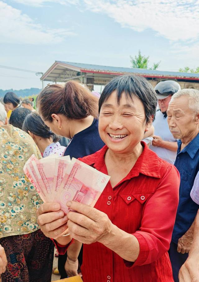 一村莊526畝荒地變“聚寶盆” 從撂荒地到示范田