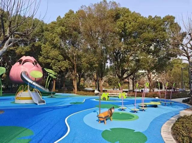 节气里的普陀：夏至风渐盛，万物向阳生