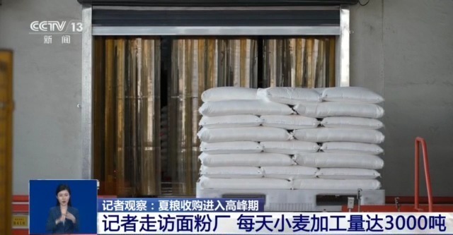 夏粮收购进入高峰期 市场有哪些新变化？