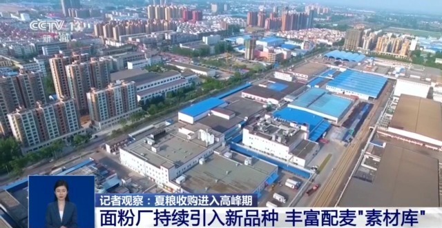 夏粮收购进入高峰期 市场有哪些新变化？