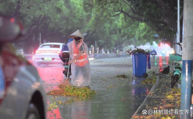 广西一镇一天下了北京一年的雨 暴雨引发多地警戒