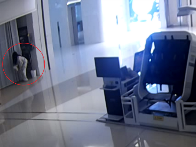 男子盗走2只宠物犬被抓 假扮女子作案