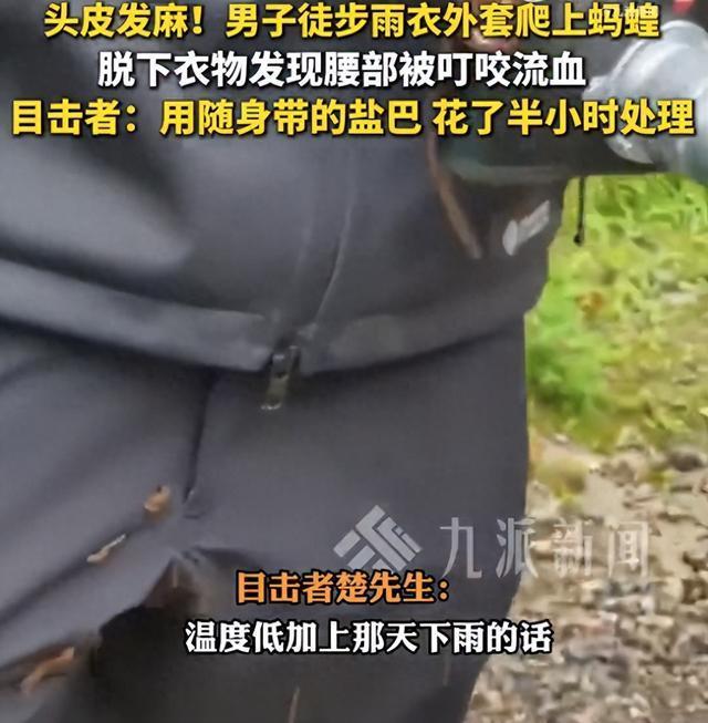 男子身上被爬满蚂蟥目击者发声