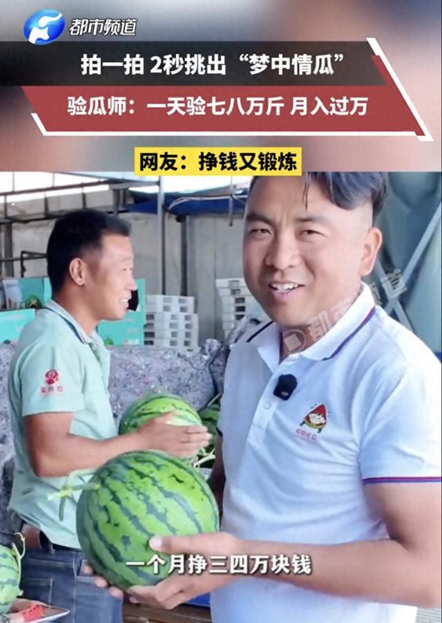 男子每天拍西瓜月入4万