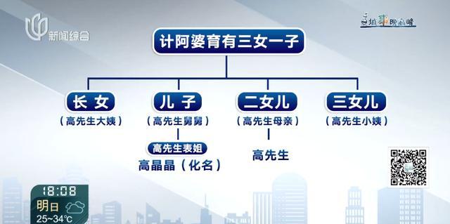 男子与表姐争夺亡母3套房产 独生子继承权受挑战