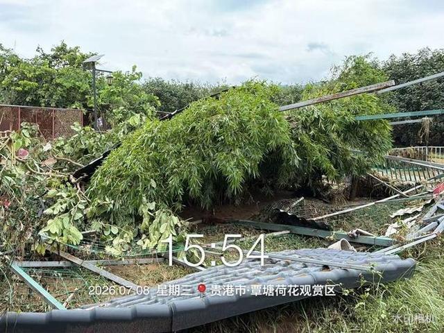 动物园被淹员工看到狮子死亡落泪 洪水致园区损失惨重