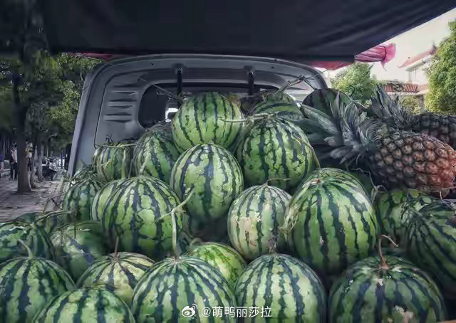 媒体评老人卖瓜婉拒市民超额付款