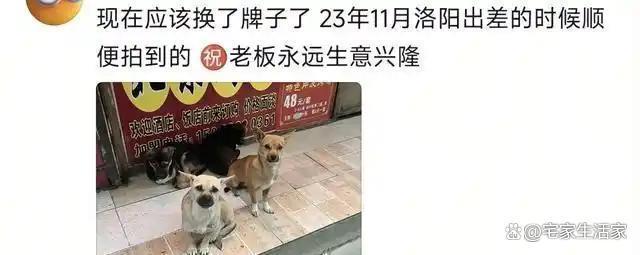 投喂流浪狗15年烤鸭店婉拒网购订单 温柔秩序感动人心