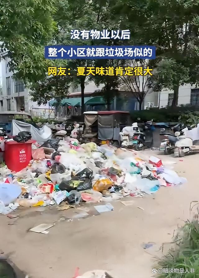 小区没物业后遍地垃圾 科技住宅变废墟
