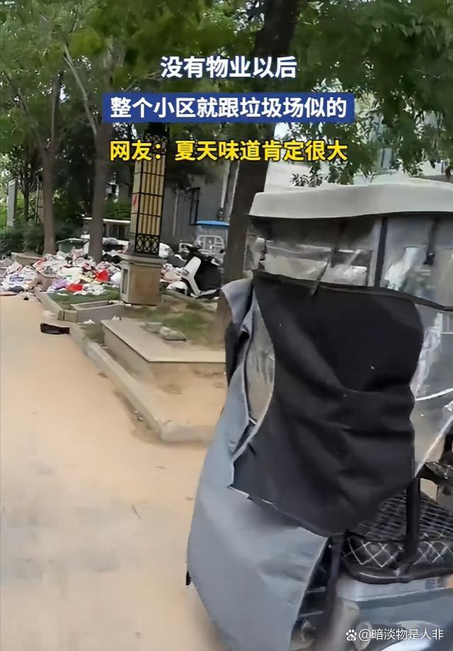 小区没物业后遍地垃圾 科技住宅变废墟