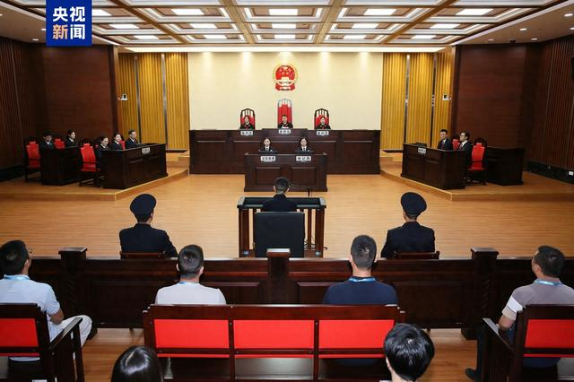 重庆市政协原副主席段成刚被判无期