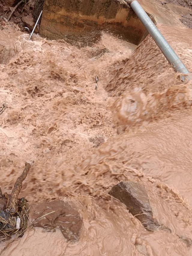 男子被卷入河道 38人合力营救 暴雨中生命接力