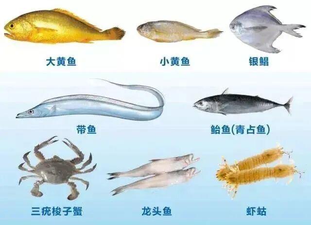 东海将迎来“小开渔”