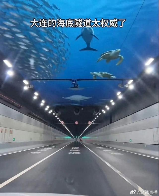 大连湾海底隧道能看到鲨鱼系谣言